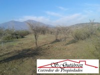 /album/en-venta-17-000-000-5000-m2-camino-principal-a-30-minutos-de-melipilla-colegio-5-minutos-los-maitenes-camino-rapel-k-21/a11777468-1628200017423830-1042983824-o-copia-jpg/